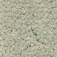 Westex Saxony 100% Wool Range at Surefit Carpets